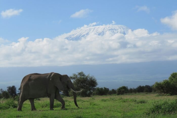 Mt Kirimajaro
