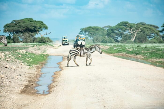 Amboseli National Park
